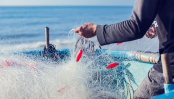 A man holds a net filled with red fish